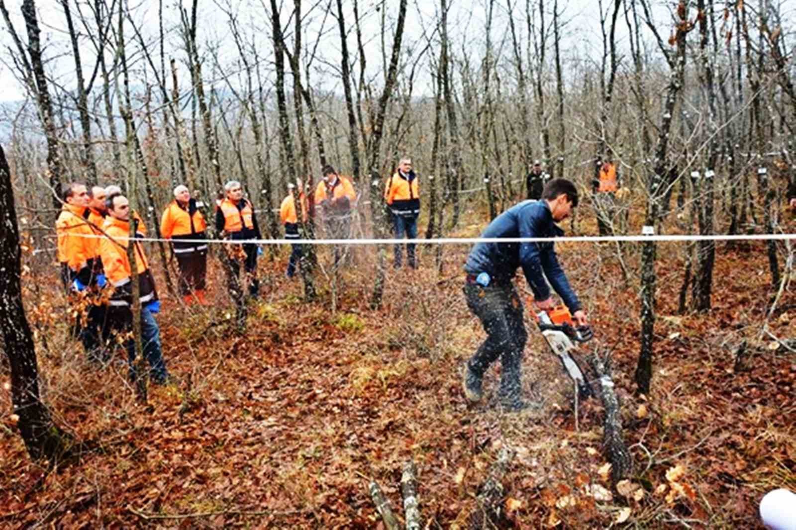 Orman köylüsü endüstriyel odundan 698 milyon TL kazandı
