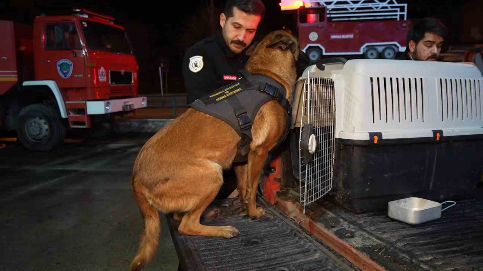 Hassas burunlu köpekler arama-kurtarma çalışmaları için Konya’ya hareket etti
?v=1