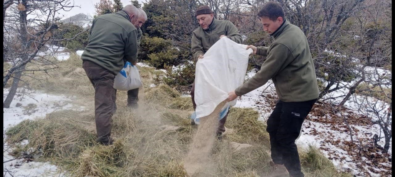 Elazığ’da yaban hayvanları için doğaya yem bırakıldı
