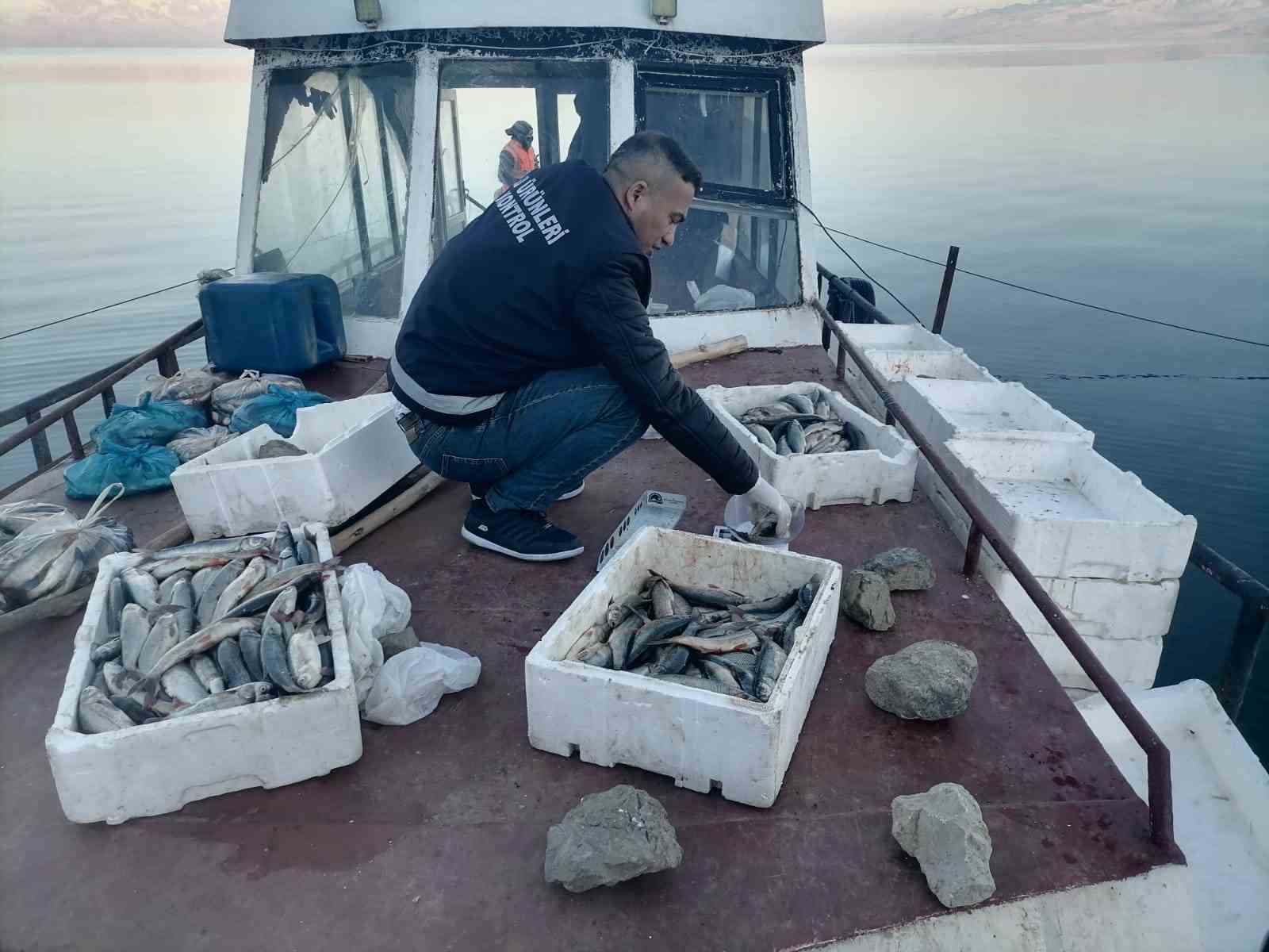 Van’ın ikinci büyük gölü Erçek’te inci kefali bereketi
