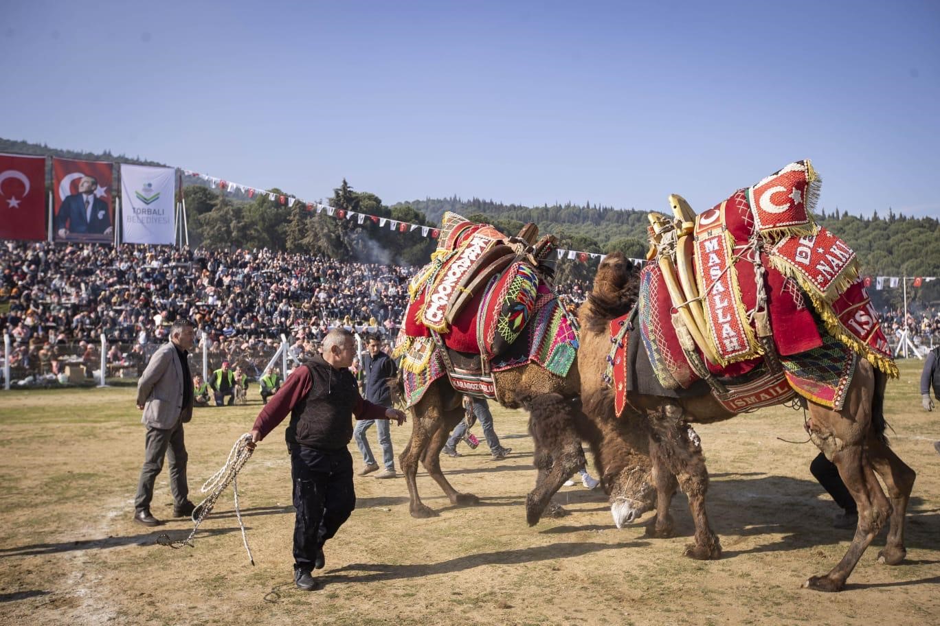 İzmir’de 16. Torbalı Deve Güreşleri Festivali düzenlendi
?v=1