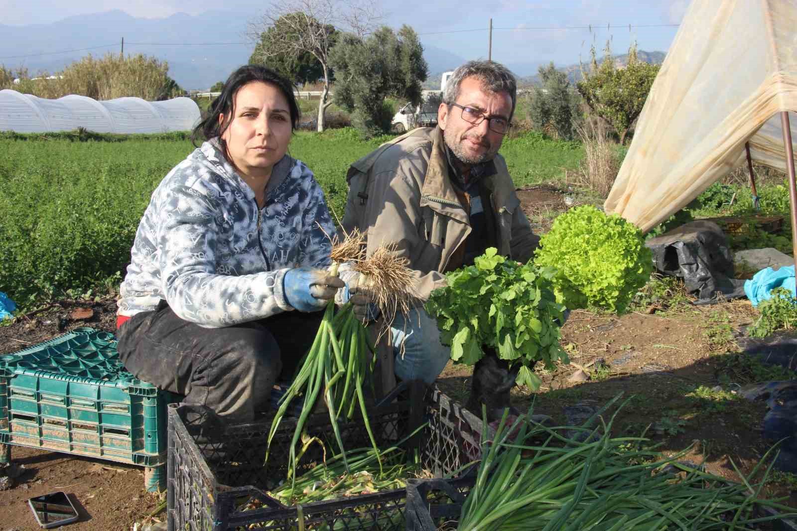 Solagay Çifti, yılın 12 ayı salatalık ürün yetiştirerek ekmeklerini kazanıyor
?v=1