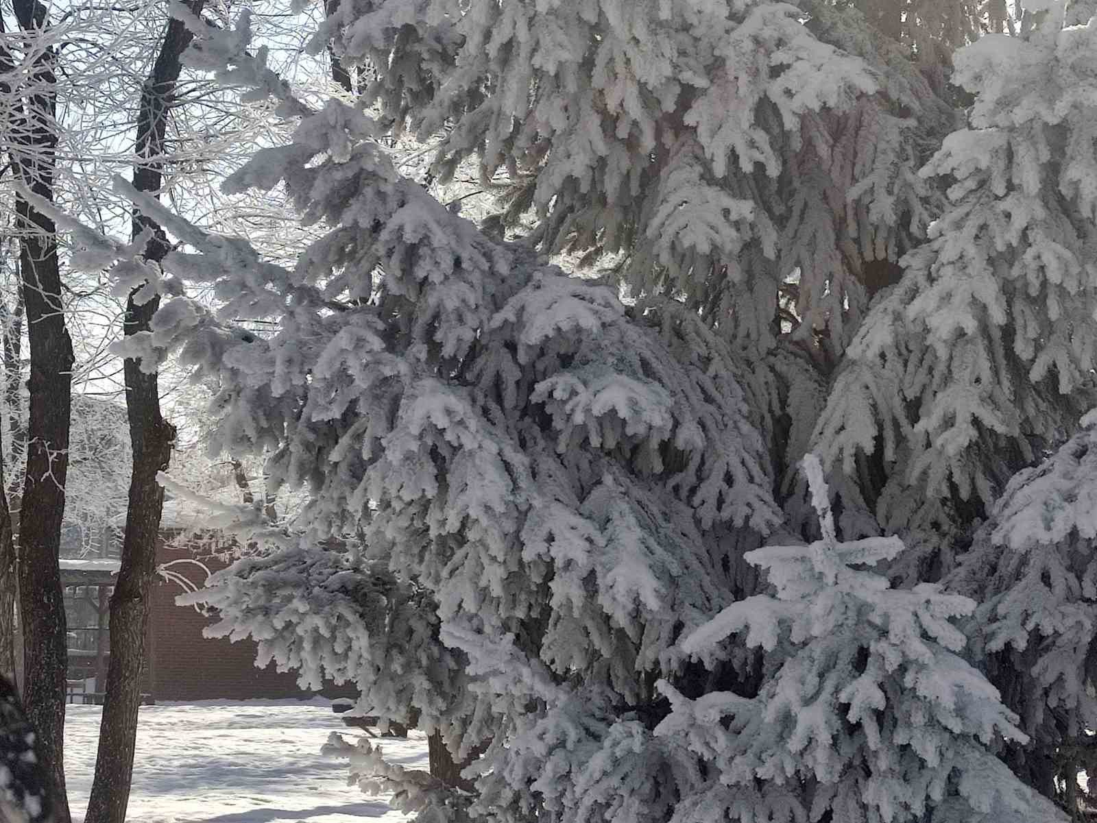 Göle’de hava eksi 27,7 derece: Araçlar soğuktan çalışmadı
?v=1