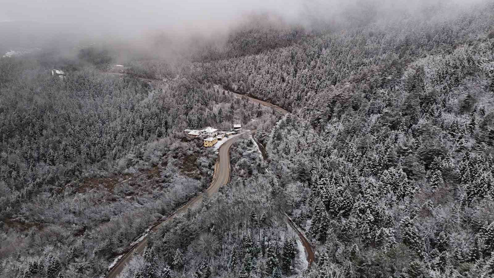 Beyaz örtüyle kaplanan ormanlar dronla görüntülendi
?v=1