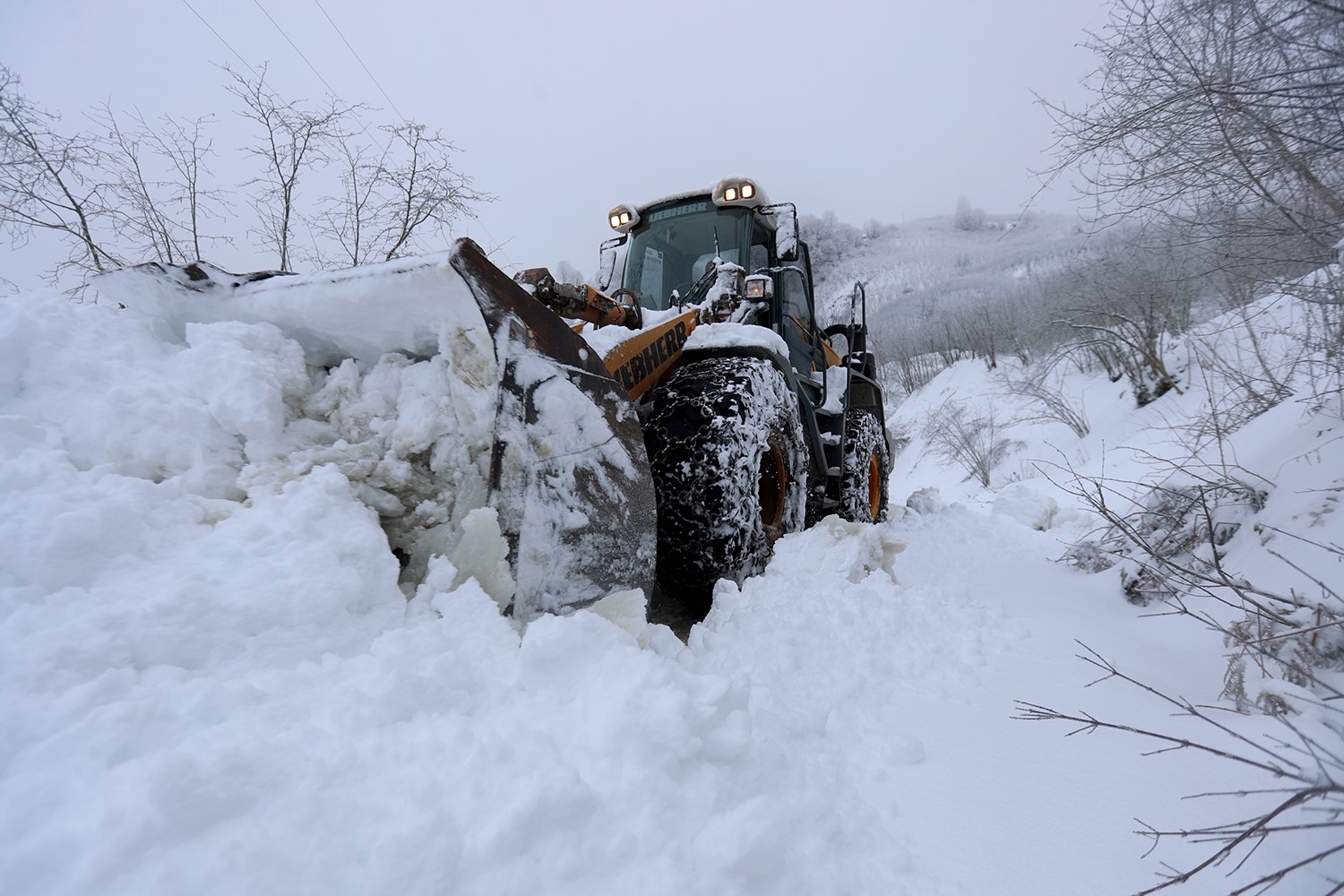 Sakarya’da kar sebebi ile kapanan 34 grup yolu ulaşıma açıldı
?v=1