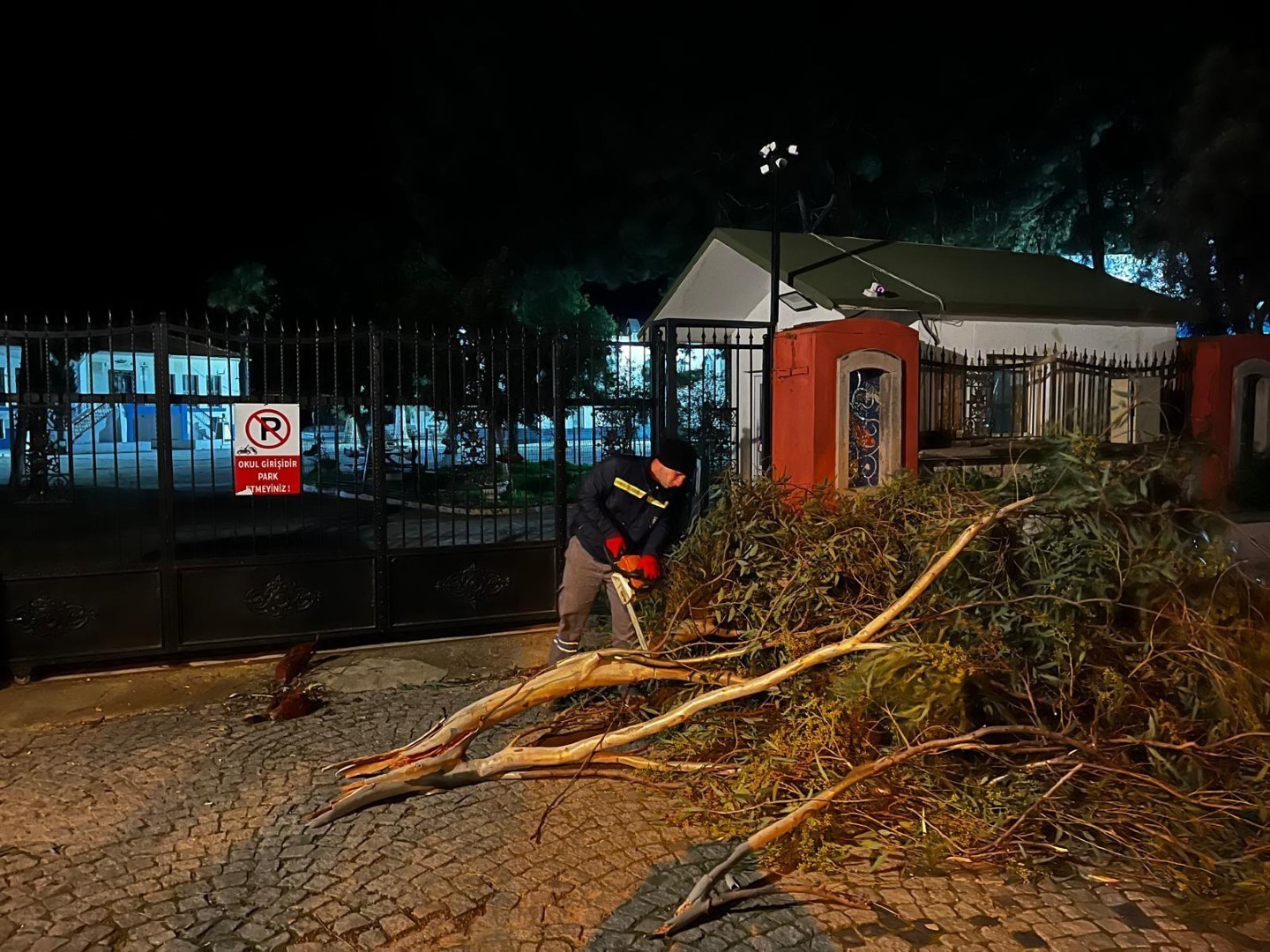 Bodrum’da belediye ekipleri olumsuzluklara karşı nöbette
?v=1