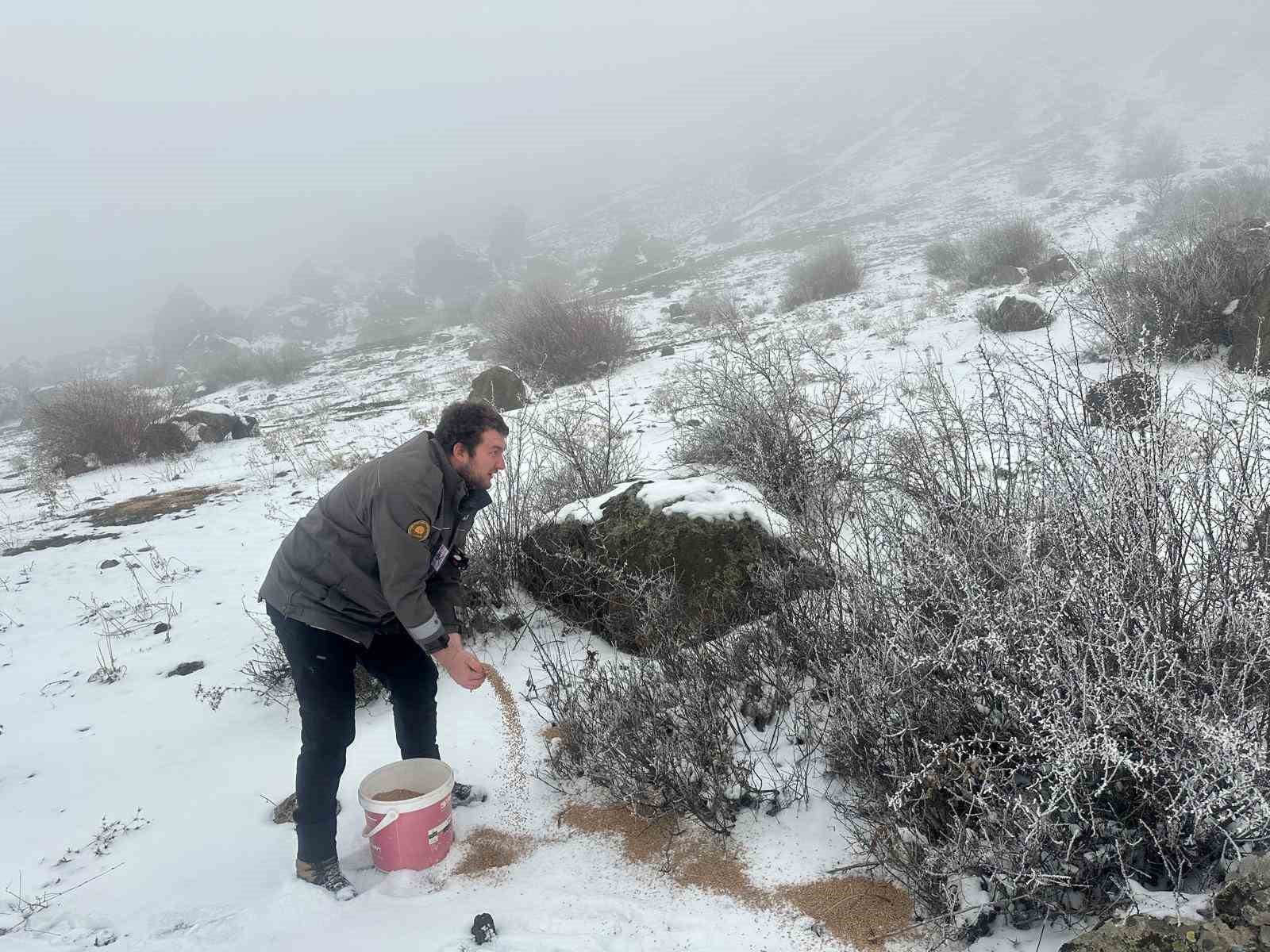 Giresun’da yaban hayvanları için doğaya yem bırakıldı
