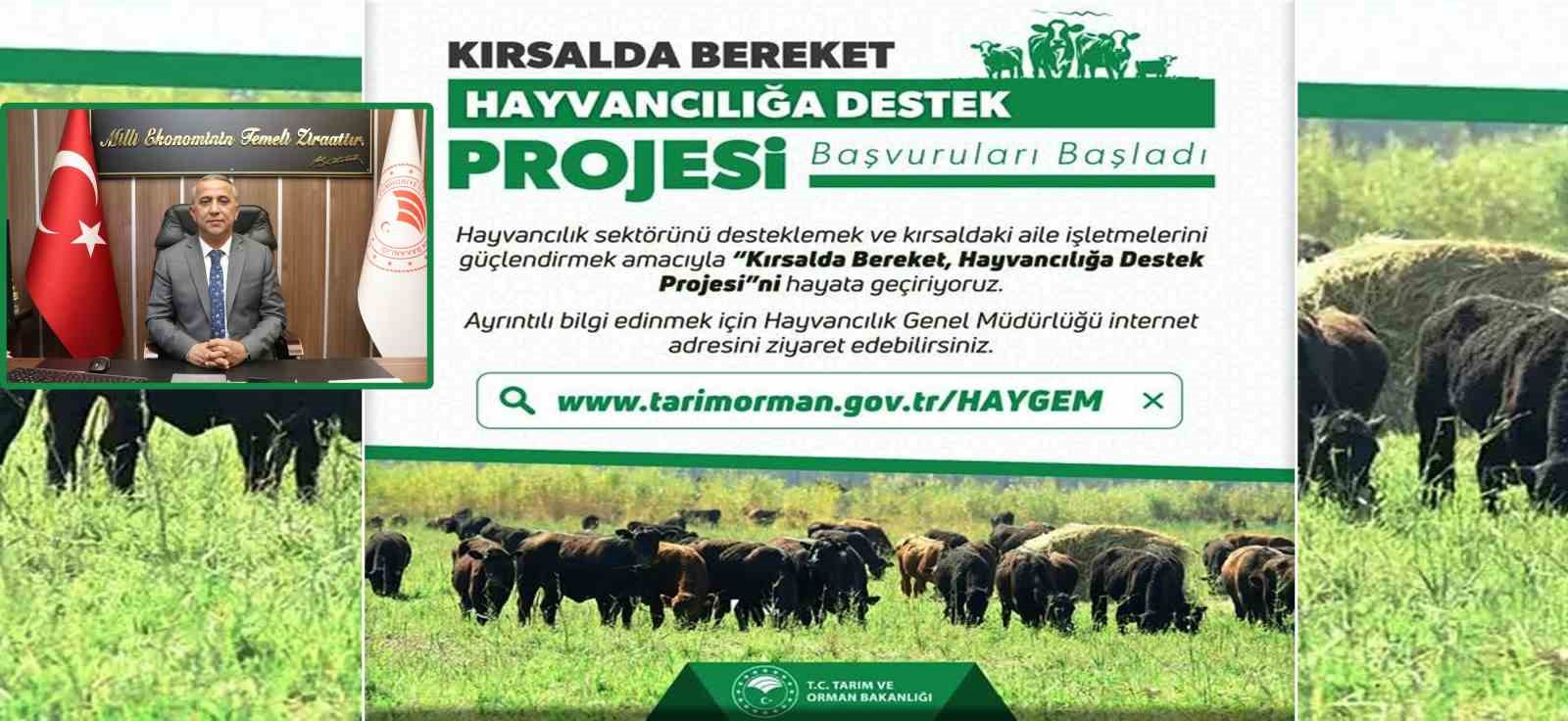 ‘Kırsalda Bereket, Hayvancılığa Destek Proje’ başvuruları başladı
