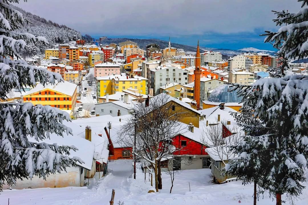 Ordu’da eğitime kar engeli
