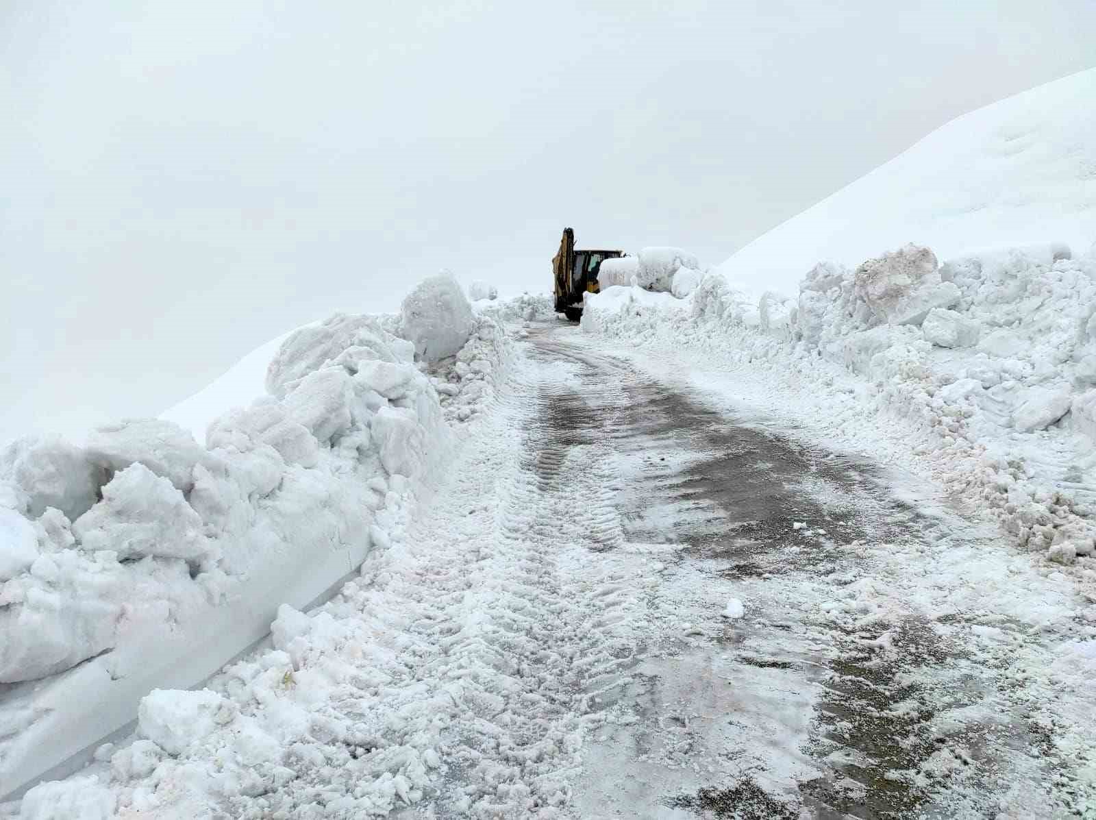 Batman’da karla kaplı köy yolları ulaşıma açıldı
?v=1