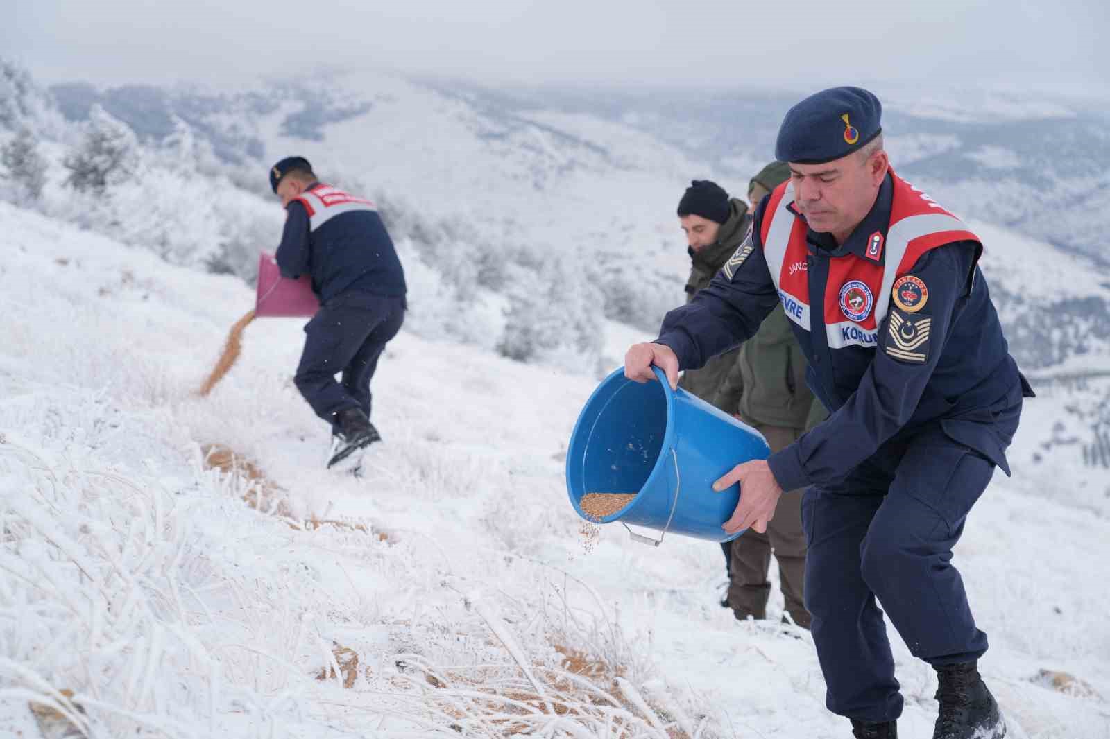 Kırşehir’de yaban hayvanları için yem bırakıldı
?v=1