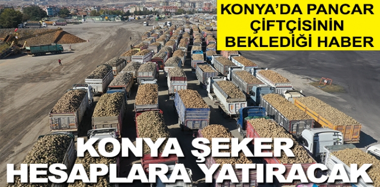 Konya Şeker Hesaplara Yatıracak: Konya’da Pancar Çiftçisinin Beklediği Haber