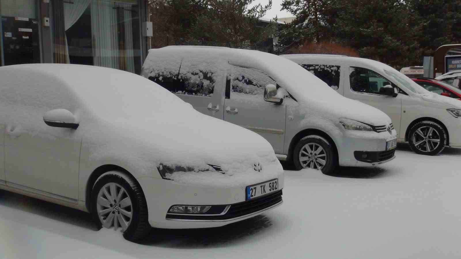 Ahlat’ta kar yağışı, 8 köy yolu ulaşıma kapandı
