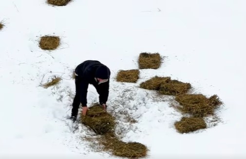 Doğu’da yaban hayvanları için doğaya yem bırakıldı
