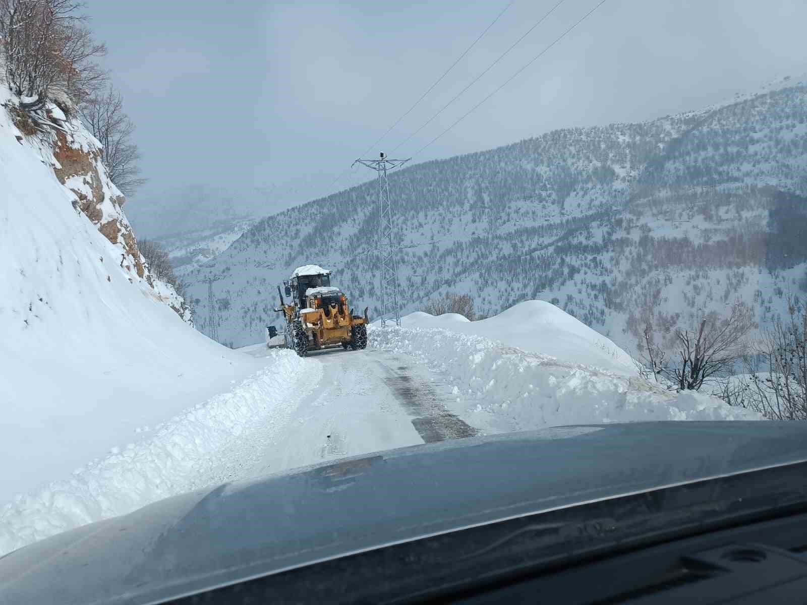 Siirt’te kapanan köy yolları ulaşıma açıldı
?v=1