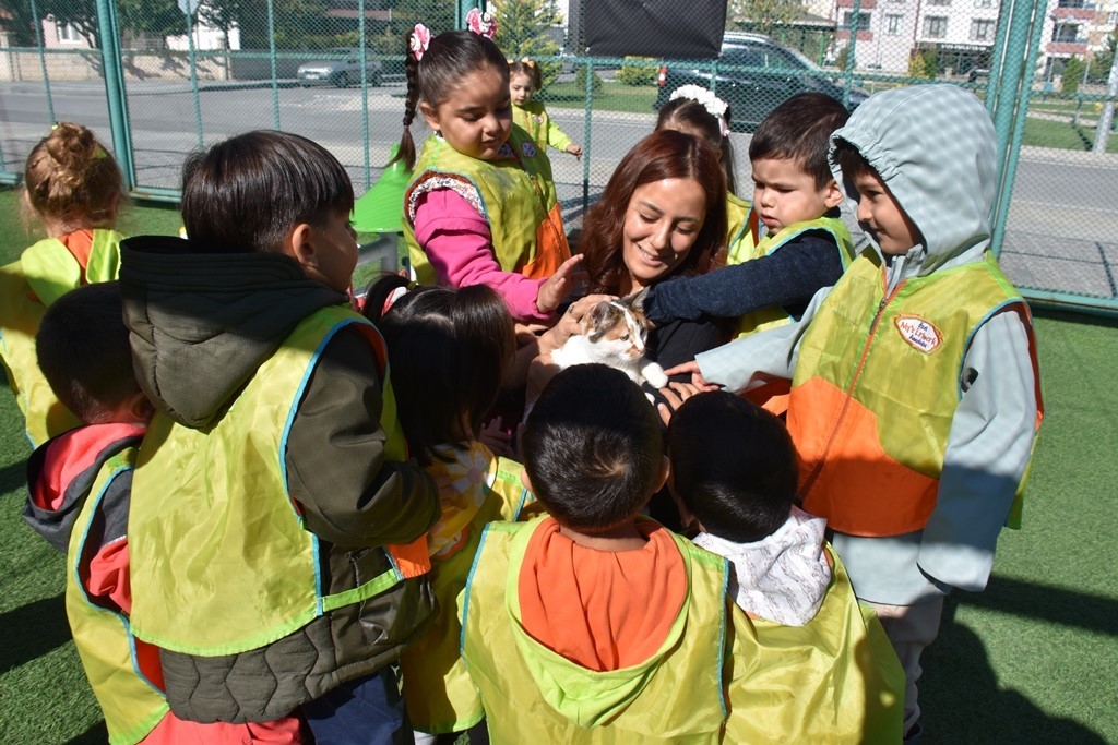 Kayseri’de ilk olan Küçük Dostlar Kedi Kasabası’na rekor ziyaret
?v=1