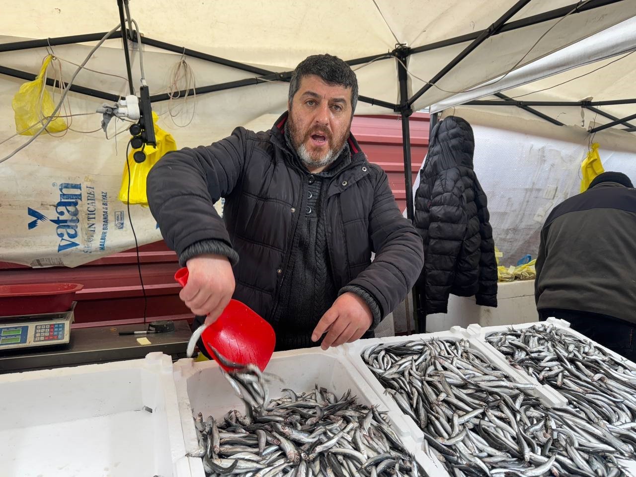 Zonguldak’ta hamsi 100 liradan alıcı buldu
?v=1