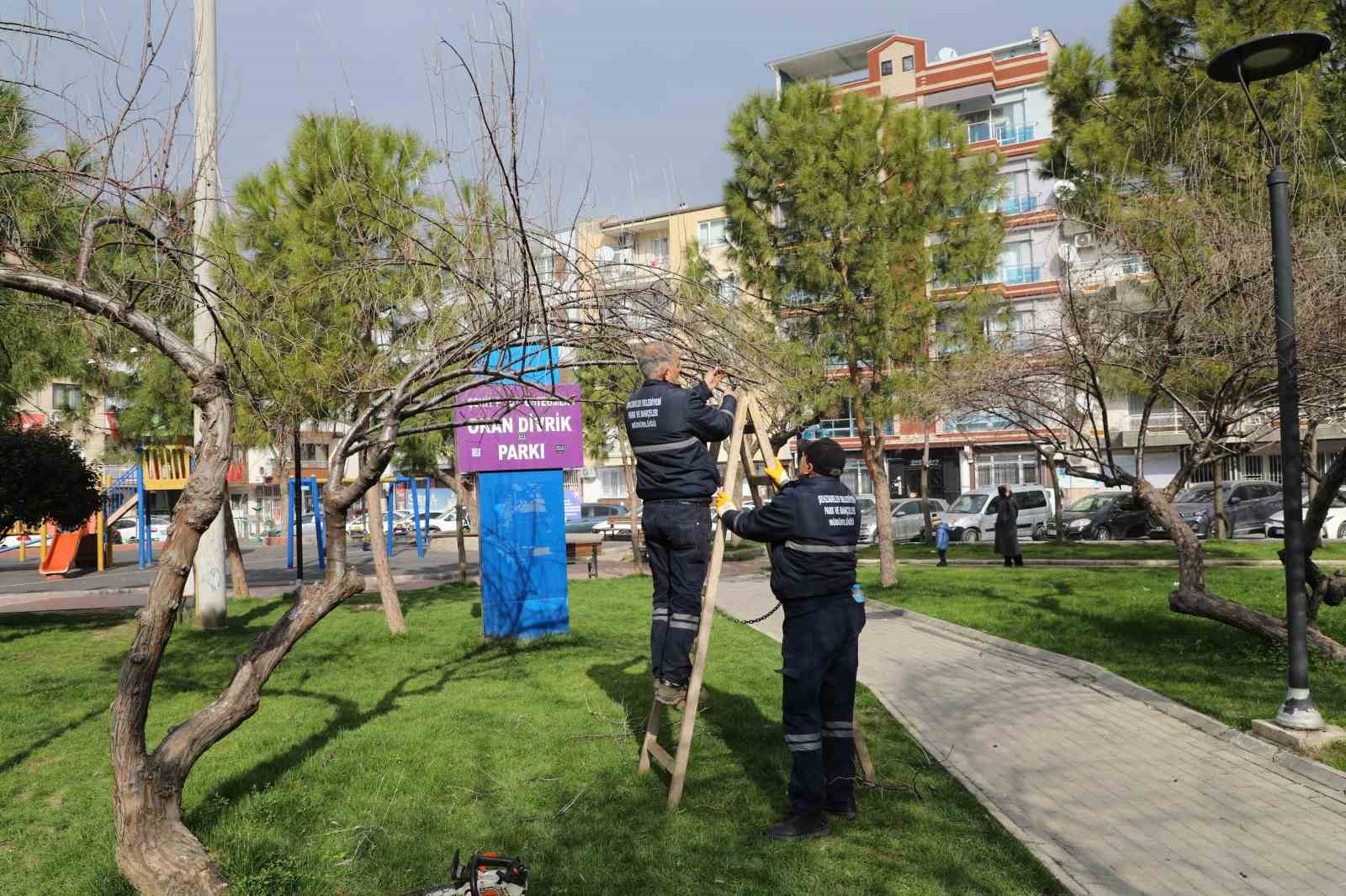 Şehzadeler’de park ve bahçelerde bakım çalışmaları sürüyor
?v=1