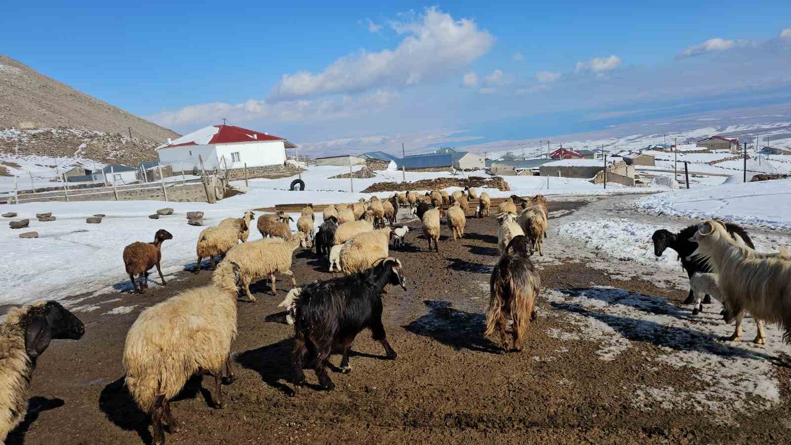 Türkiye’nin en yüksek rakımlı köyü Kışkılı, dron görüntüleriyle hayran bıraktı
?v=1