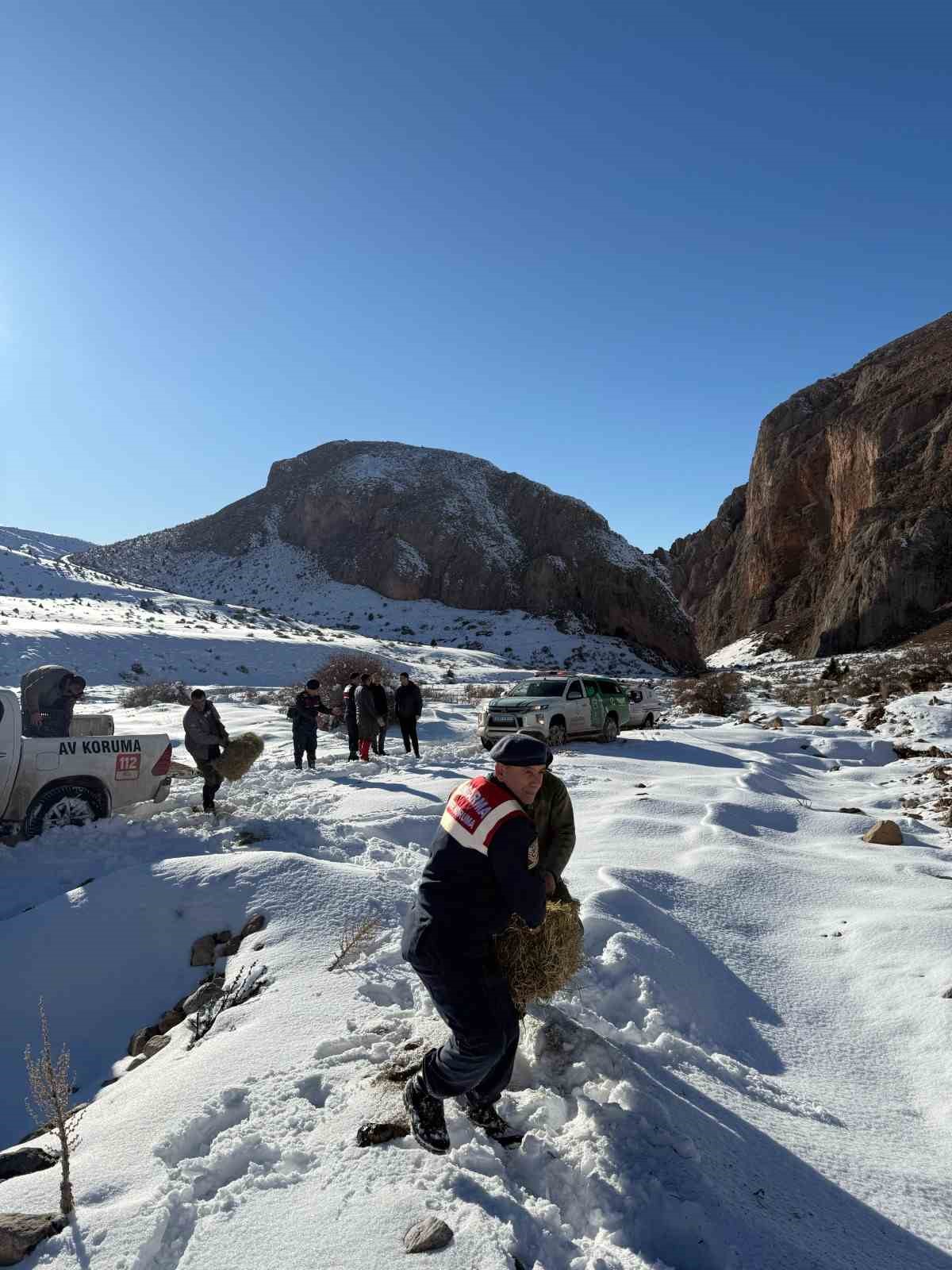 Niğde’de yaban hayvanları için doğaya yem bırakıldı
