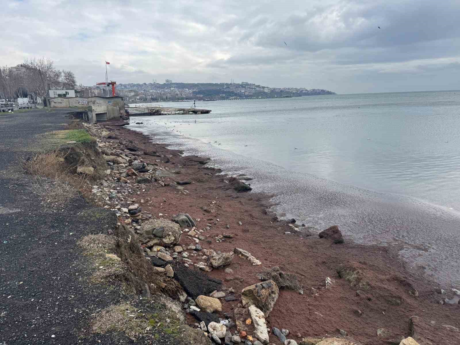 Tekirdağ kıyıları kızıl yosunla kaplandı
?v=1