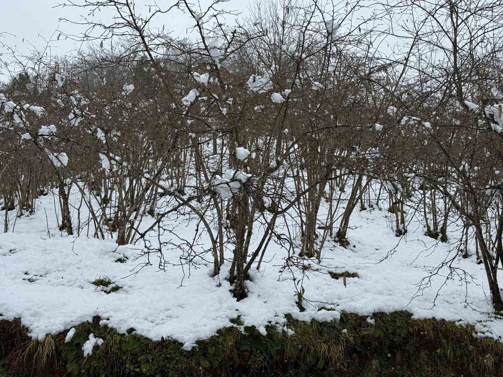 Giresun Ziraat Odası Başkanı Nurittin Karan, zirai don riskine karşı uyardı
?v=1