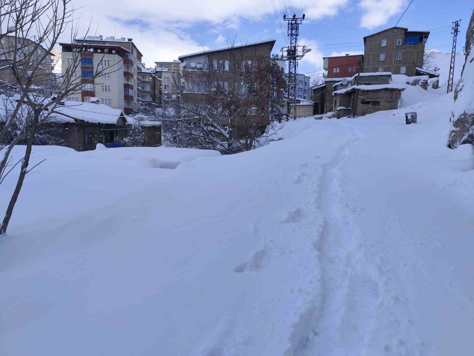 Hakkari’de 18 köy ve 64 mezra yolu ulaşıma kapandı
?v=1