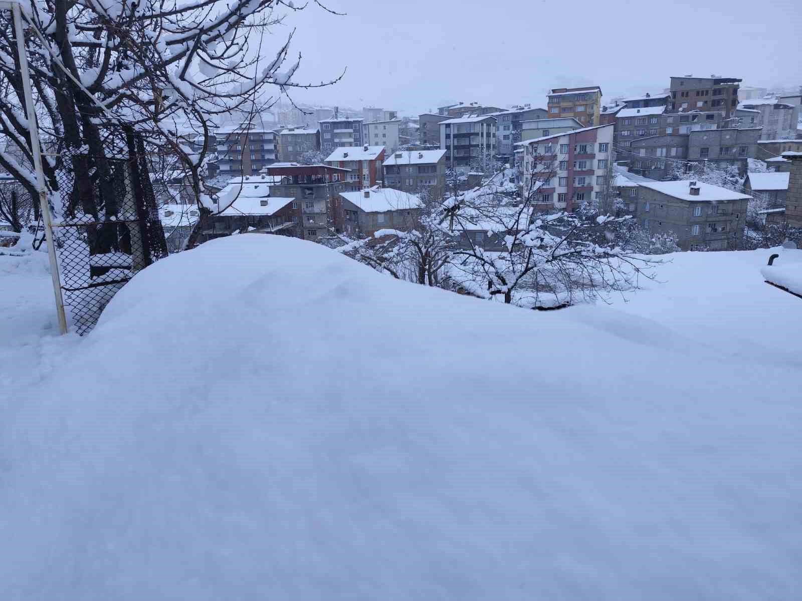 Hakkari’de 190 yerleşim yolu kapandı
?v=1