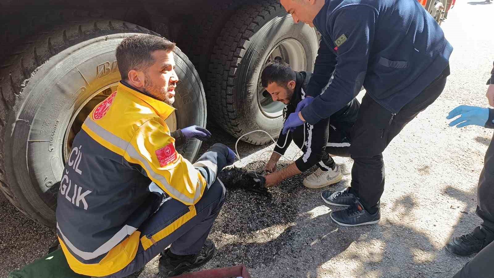 Ev yangınında 2 kişi çatıdan kurtarıldı, yanan kedilere oksijen maskesiyle müdahale edildi
