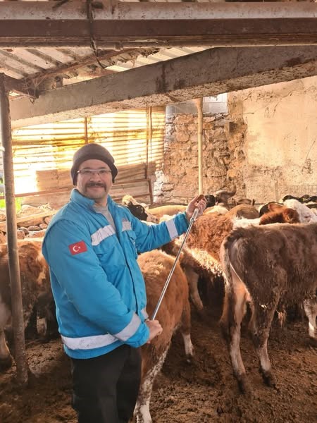 Menteşe’de büyükbaş hayvanlar için şap aşılama çalışmaları devam ediyor
?v=1