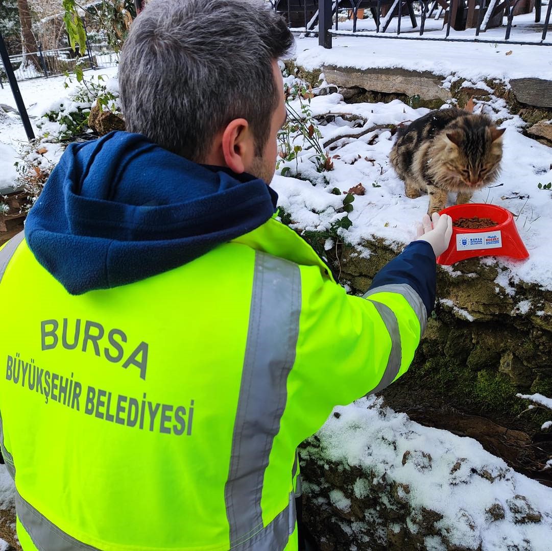 Kar bastırdı, Büyükşehir can dostları unutmadı
?v=1