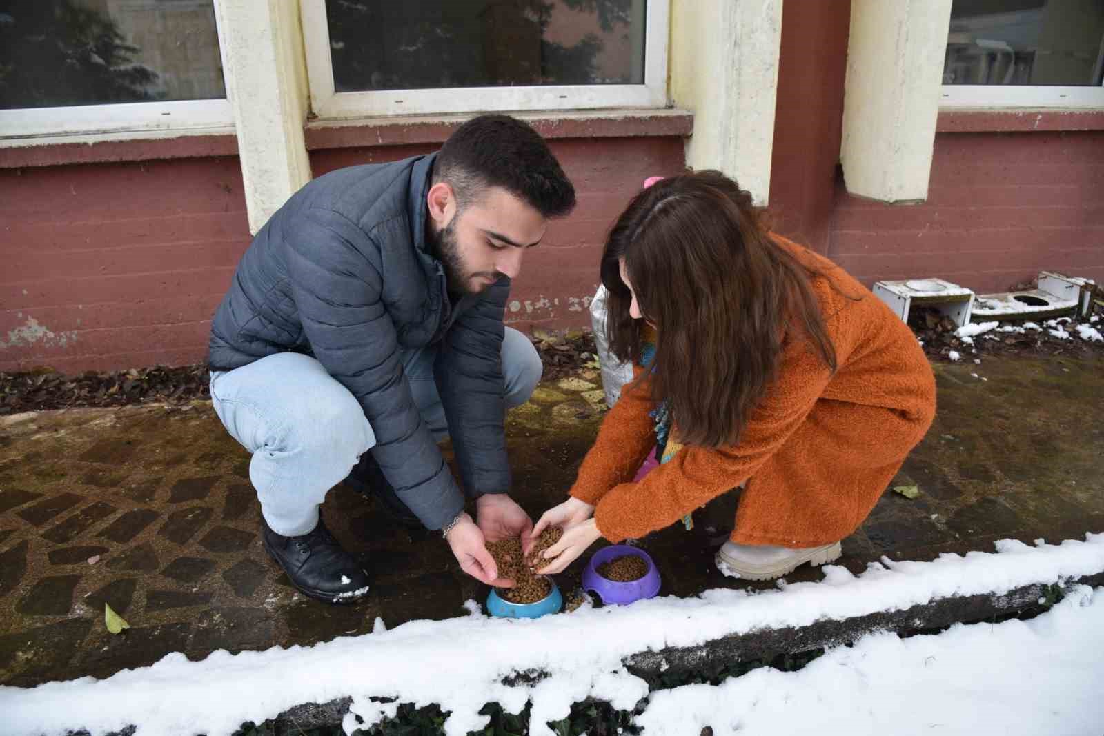 Soğuk havalarda sokak hayvanlarına OMÜ’den sıcak yardım
?v=1