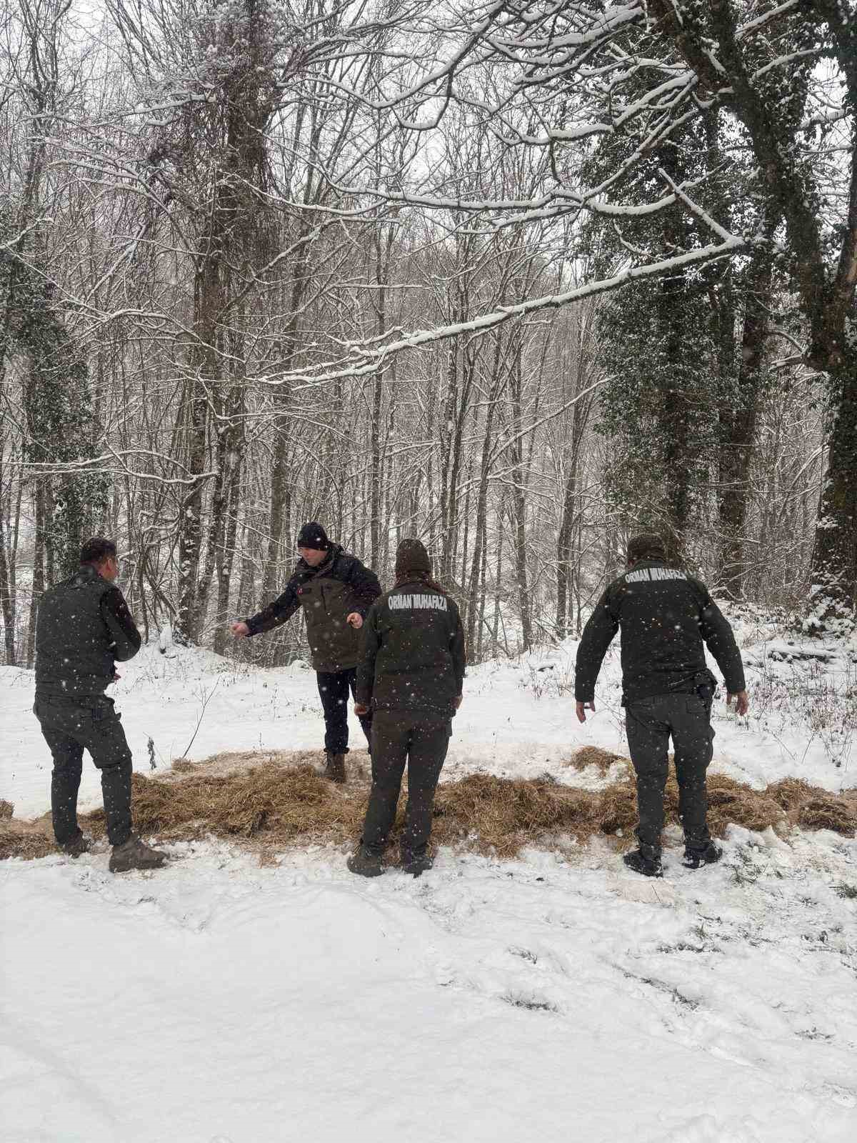 Yenice’de yaban hayvanları için doğaya yem bırakıldı
?v=1