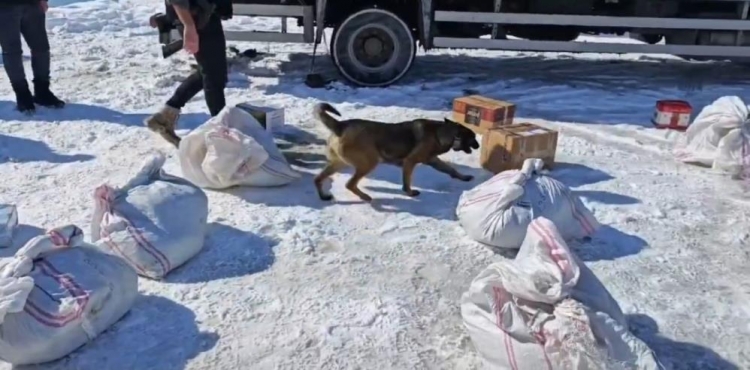 Hakkari’de kargo ile gönderilmek istenilen 102 kilo metamfetamin ele geçirildi?v=1