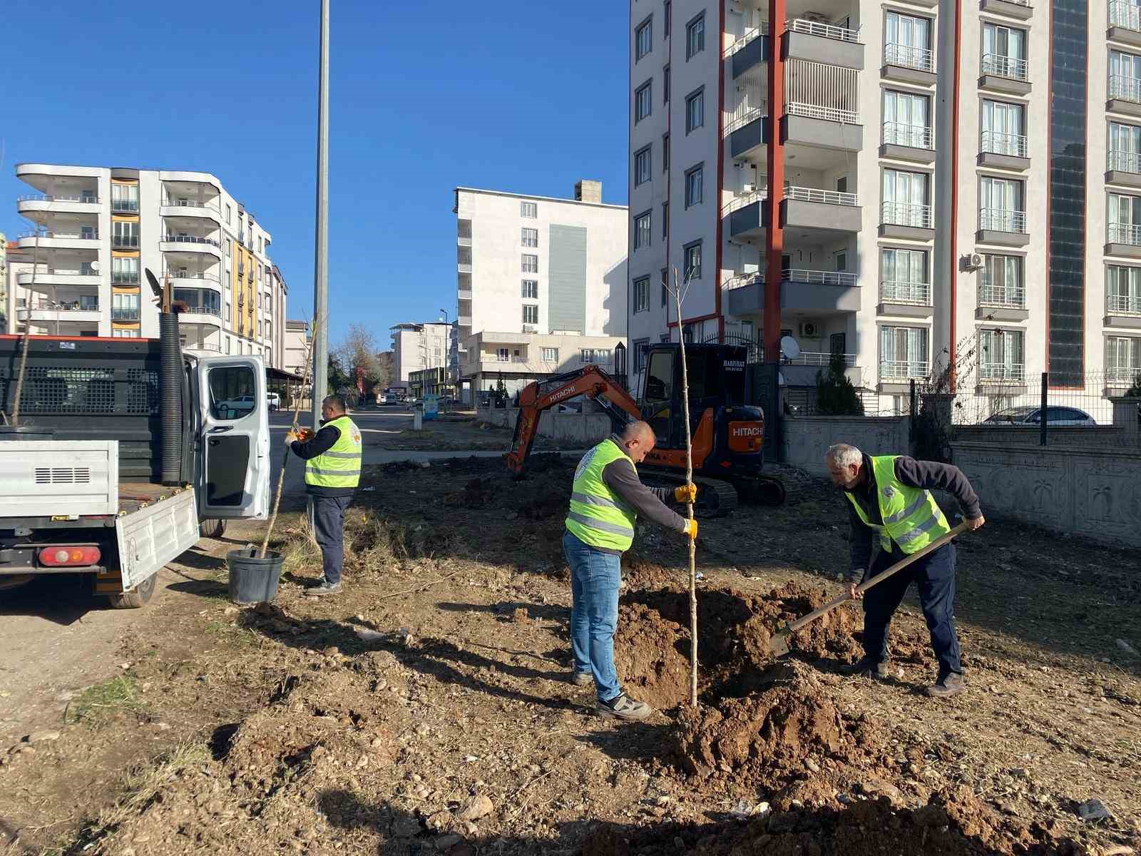 Kahta Belediyesi, ağaçlandırma çalışmalarına hızla devam ediyor
?v=1