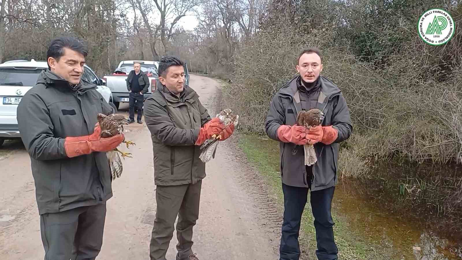 Yaralı şahinler özgürlüklerine kavuştu
?v=1