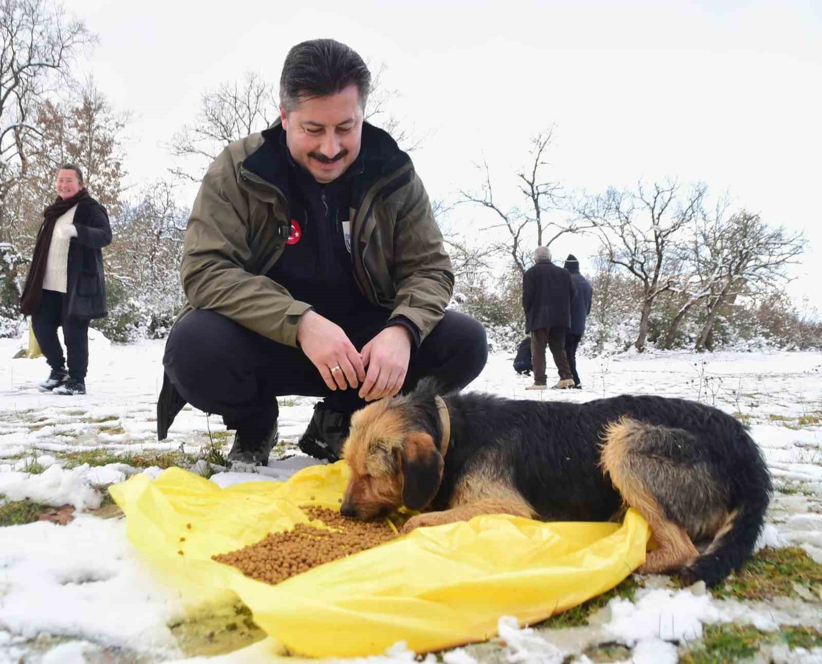 Yenişehir Belediyesi yaban hayvanlar ve kuşlar için beslenme noktaları oluşturdu
?v=1