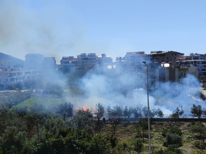 Antalya’da sazlık alandaki yangın kontrol altına alındı
?v=1