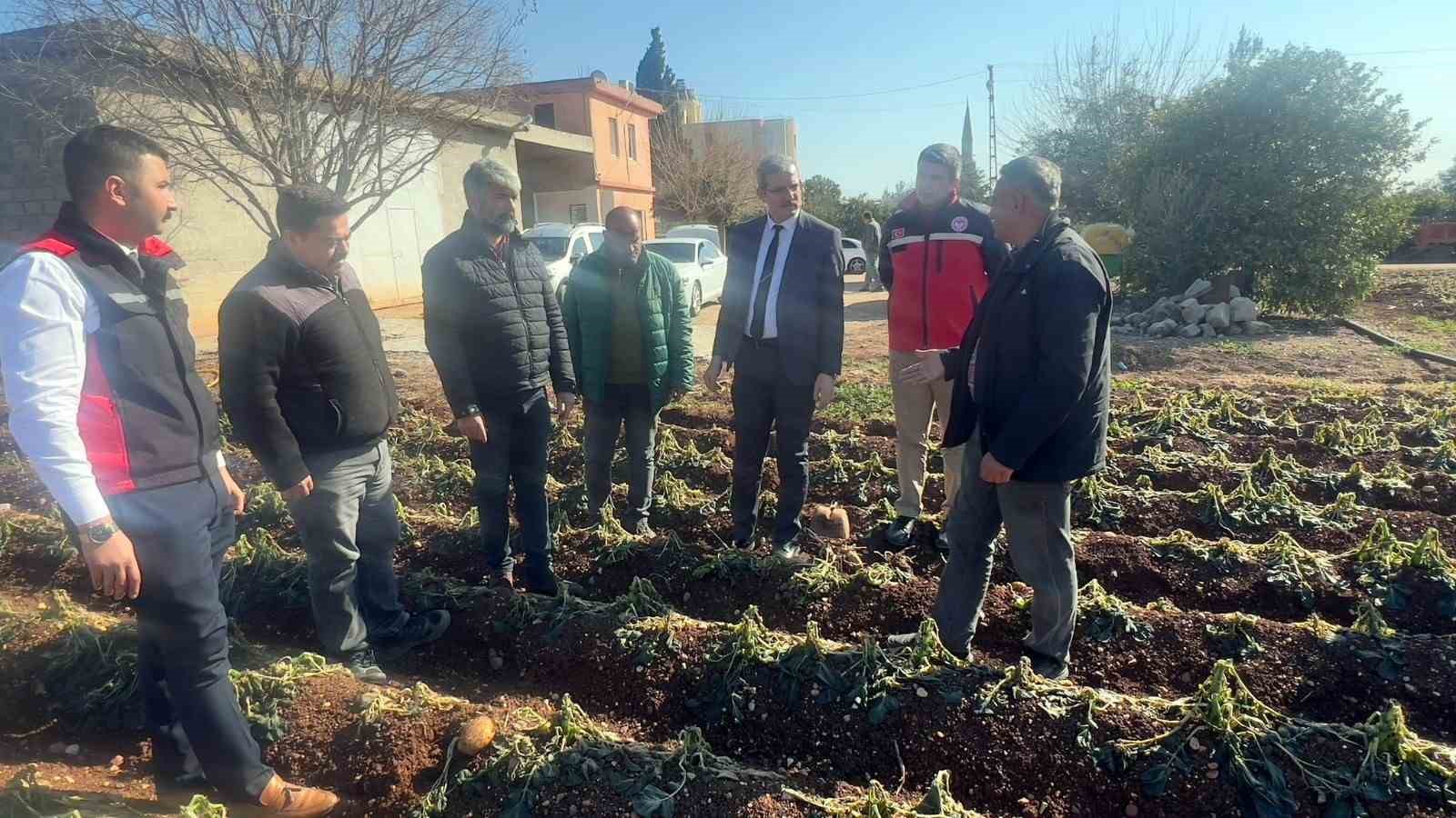 Adana İl Tarım ve Orman Müdürlüğü 3 günde 500 bin dekar alanı taradı
?v=1