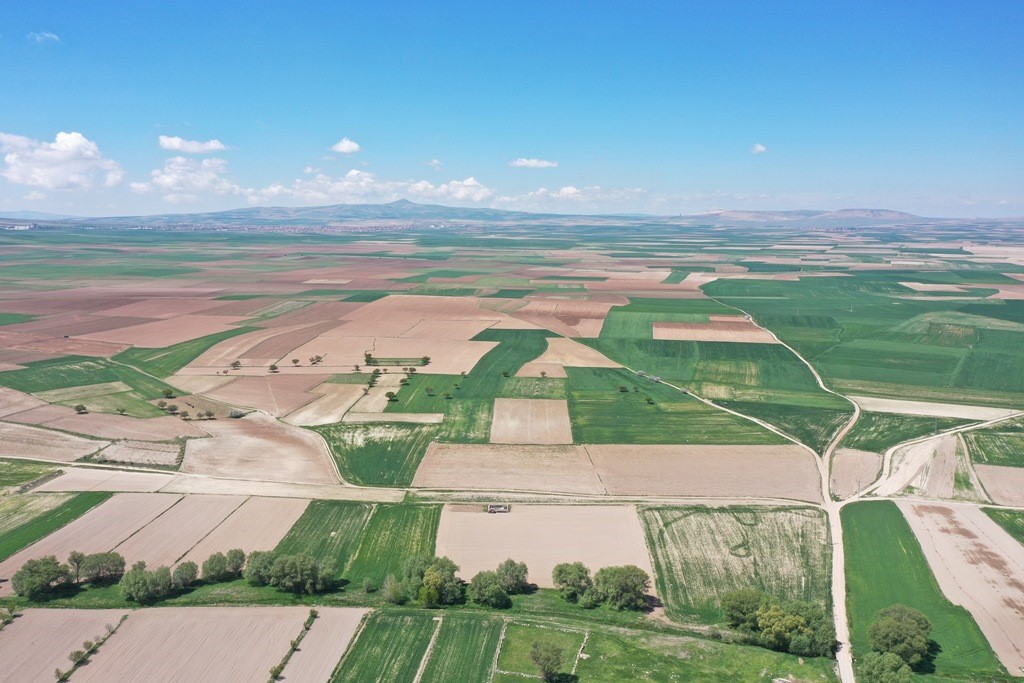 Başkan Çolakbayrakdar, Kayseri’nin tarımsal başarısının mimarlarına teşekkür etti
?v=1