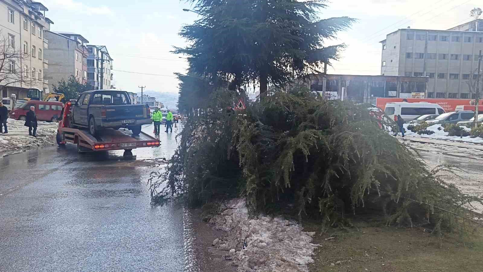 Ordu’da kontrolden çıkan pikap ağaca çarptı: 1 yaralı
?v=1