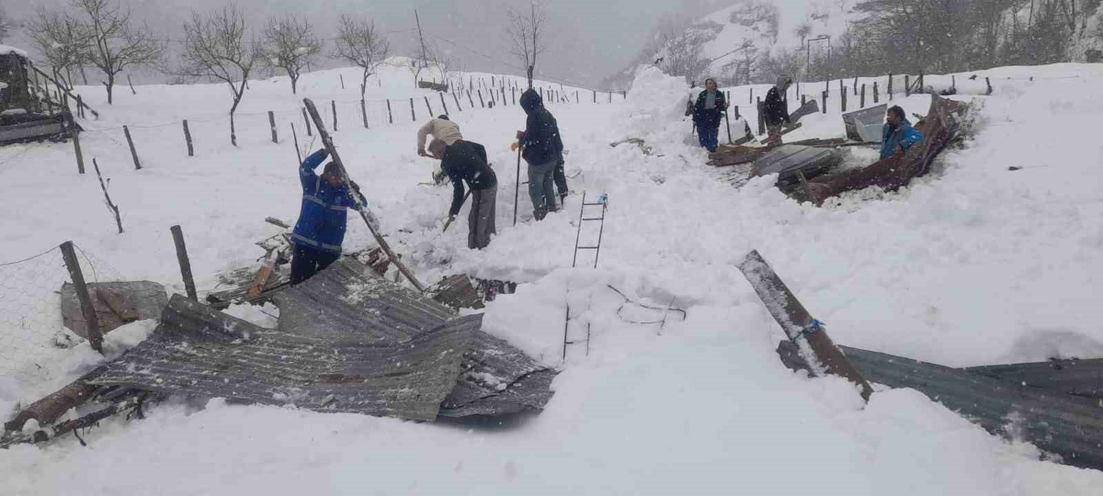 Trabzon’da kar nedeniyle ahırın çatısı çöktü
?v=1