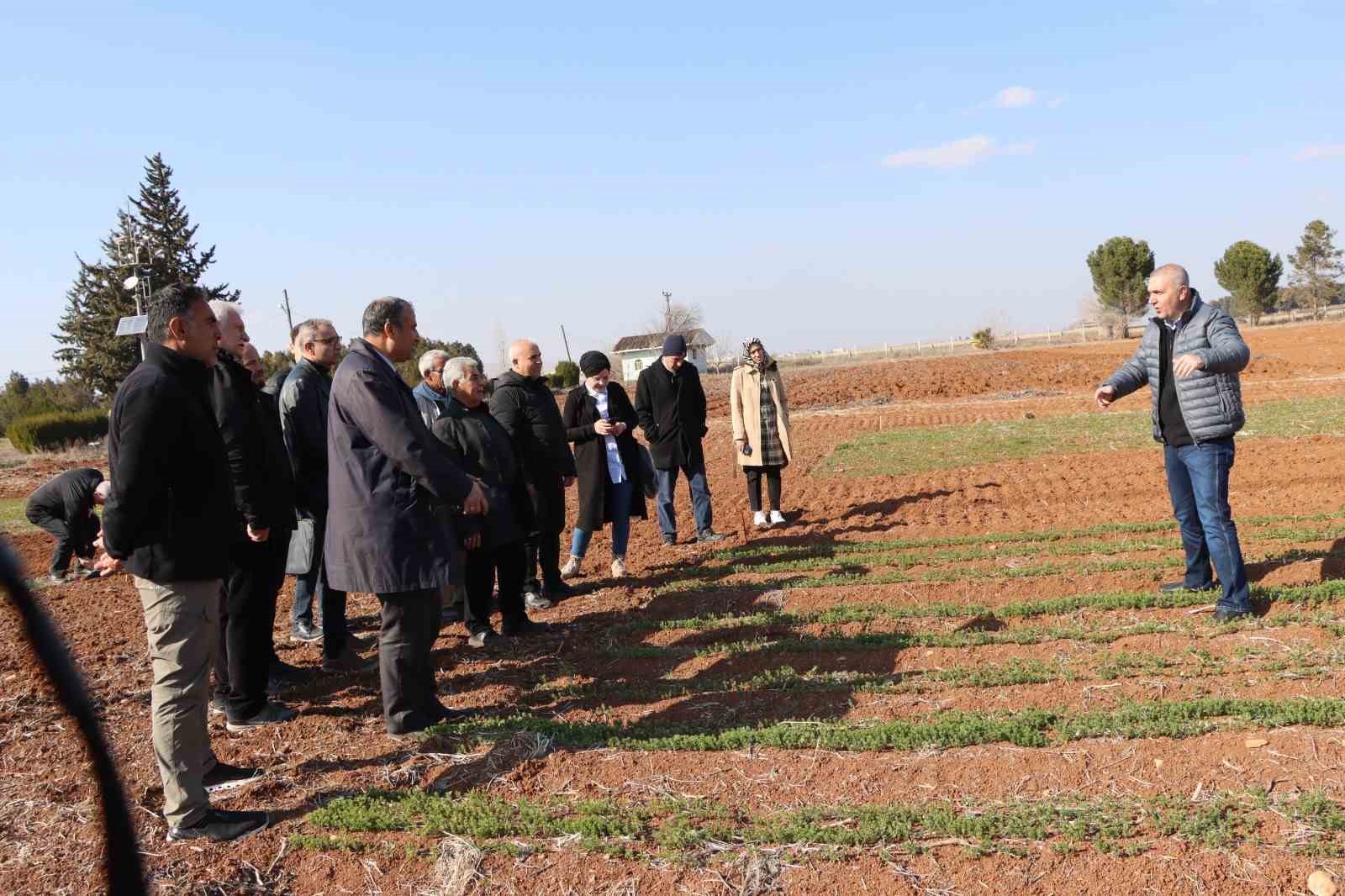 Büyükşehir Belediyesi’nden çiftçilere anıza ekim yöntemleri eğitimi
?v=1