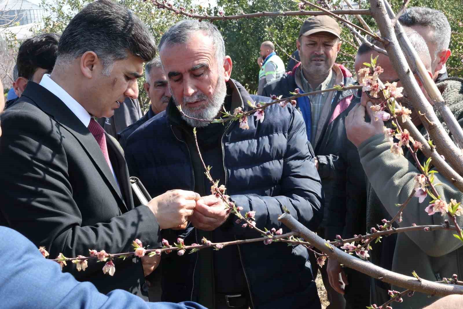 Başkan Vekili Şener, dondan zarar gören tarım arazilerinde incelemelerde bulundu
?v=1