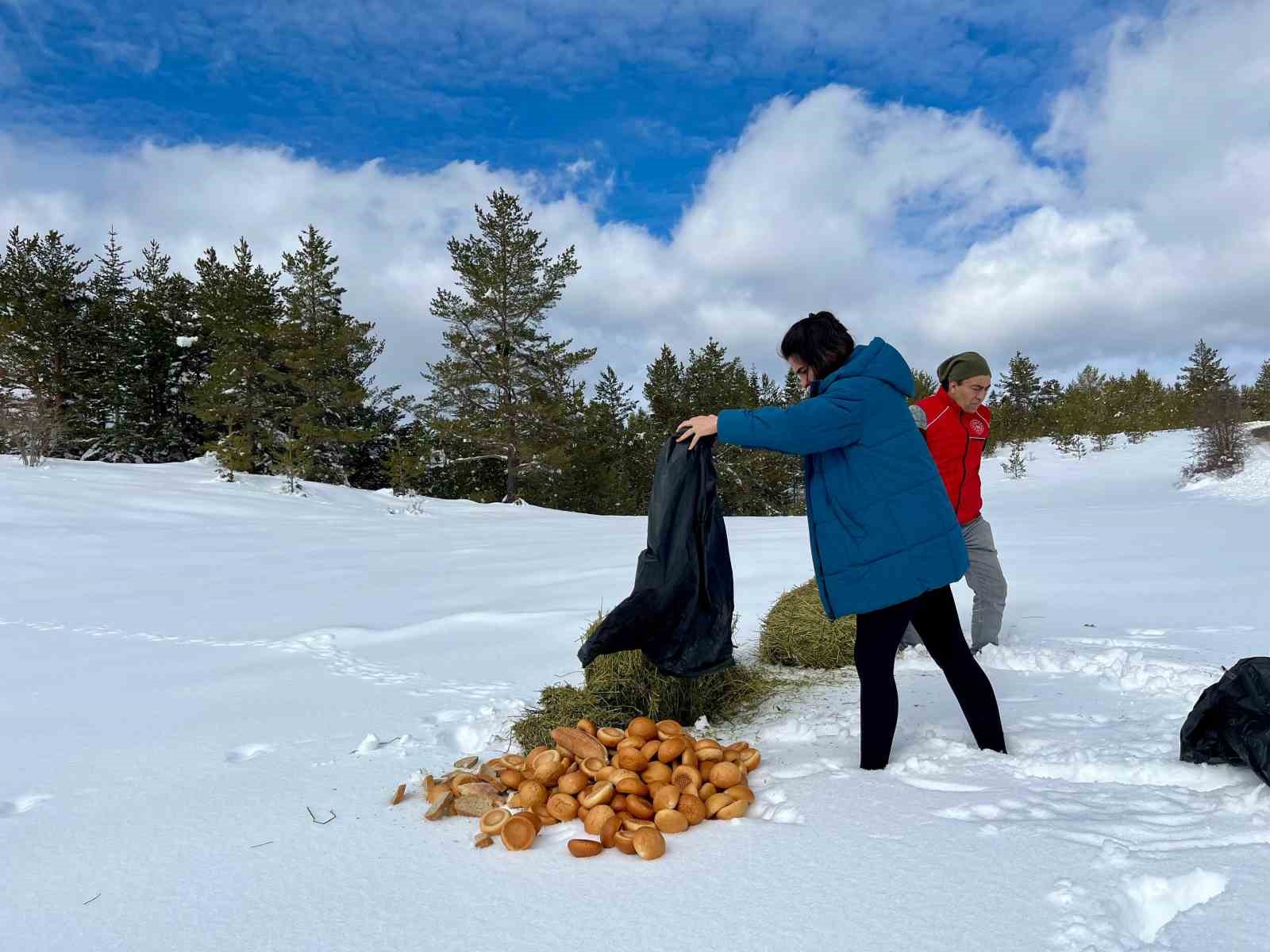 Ilgaz Dağı’nda yayvanlar için yiyecek bırakıldı
?v=1