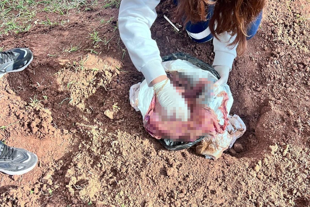 Şırnak’ta bebek cinayetine 2 tutuklama
?v=1