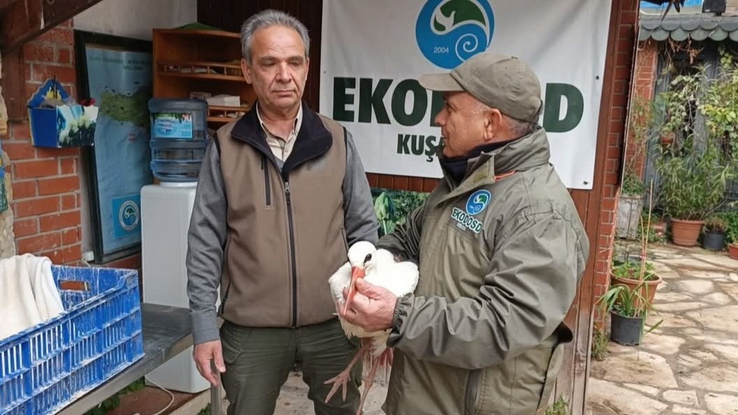 Aydın’da soğuktan etkilenen ‘Garip’ adlı leylek tedavi altına alındı
?v=1