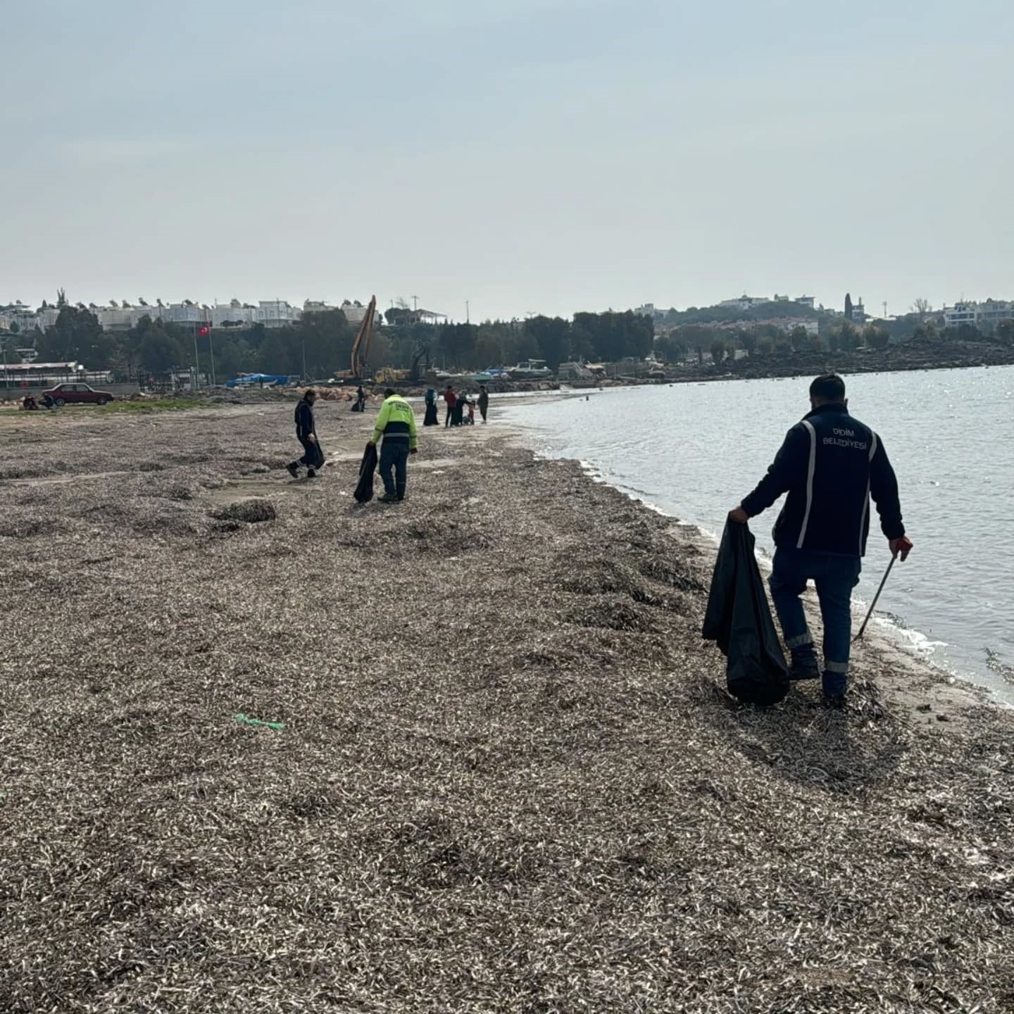 Didim’de sahil hattı temizlendi
?v=1