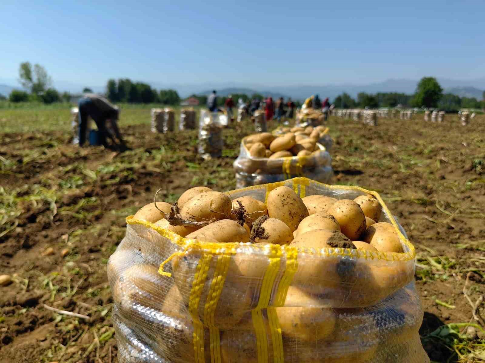 Patates ihracatı 6 ayda 15 kat arttı
?v=1