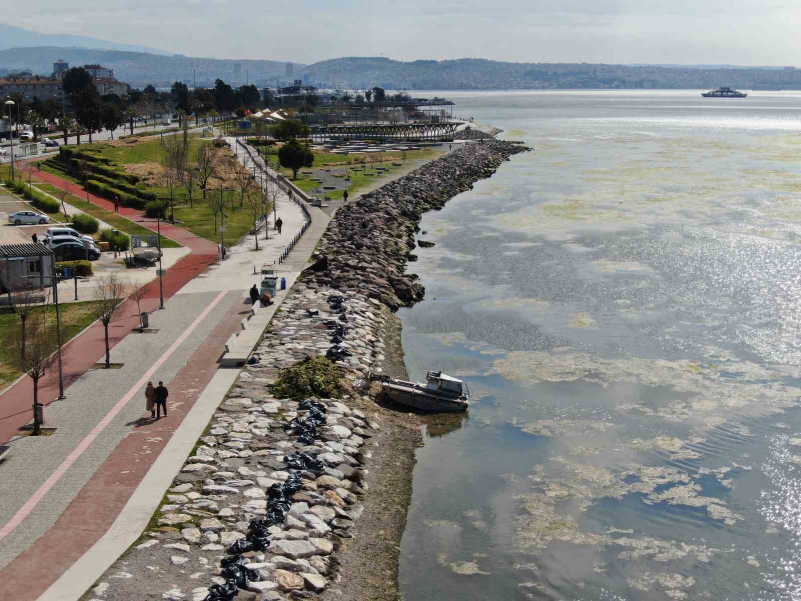 İzmir Bostanlı sahilini deniz marulu sardı
?v=1